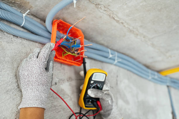 Best Ceiling Fan Installation Electrician  in Lake Elmo, MN